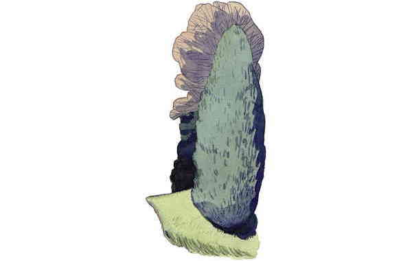 Illustration zu 'Häschen in der Grube' von Markus Lefrançois