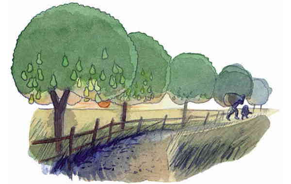 Illustration zu 'Spannenlanger Hansel' von Markus Lefrançois