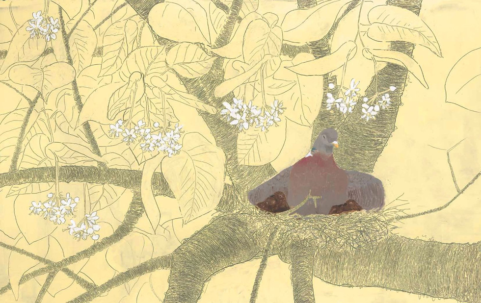 Illustration zu »Es schaukeln die Winde« von Frank Walka