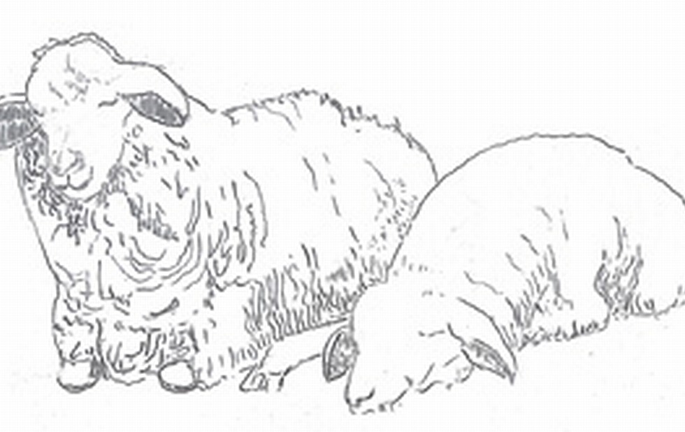 Illustration zu »Wer klopfet an« von Frank Walka