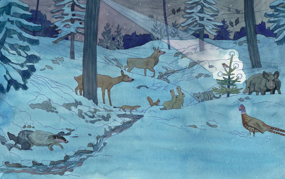 Illustration zu »Tief im Walde / Die Tanne« von Markus Lefrancois